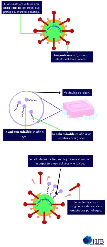 Infografía composisión Coronavirus y jabón